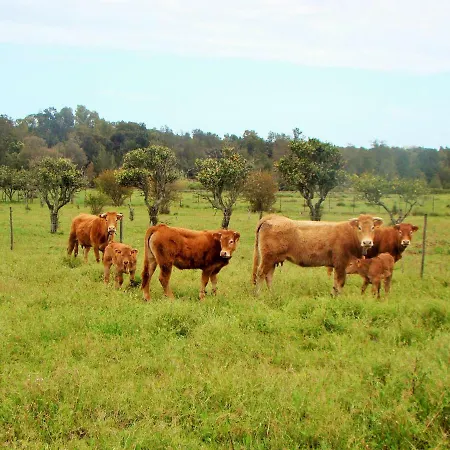 Quinta Da Norinha Πανσιόν *