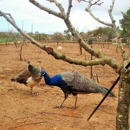Quinta Da Norinha * Portimão