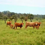 Quinta Da Norinha Pensionat *