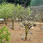 Quinta Da Norinha Pensionat *