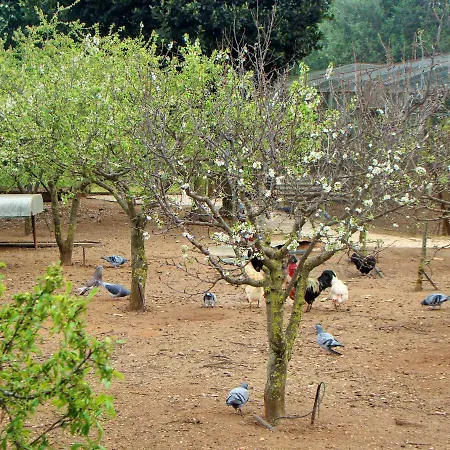 Quinta Da Norinha Pensionat *